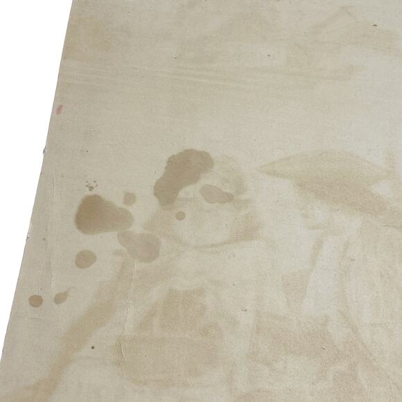 Charles Delort Vintage Decoy Ducks Lithograph Art Print - Picture 4 of 8